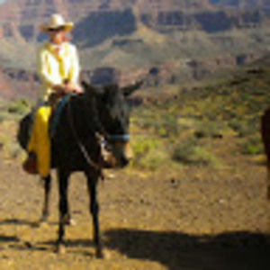 Meet your Posher, Debby